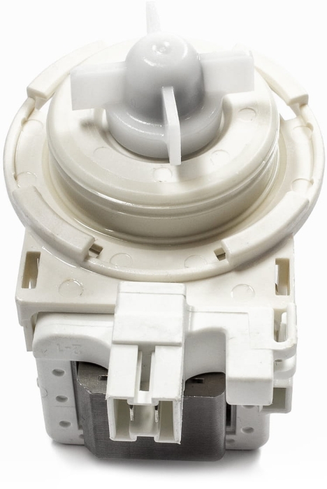 pompa_miele_6239560.jpg